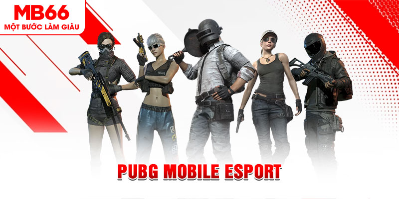 xs da nang gà chọi c1 mới nhất