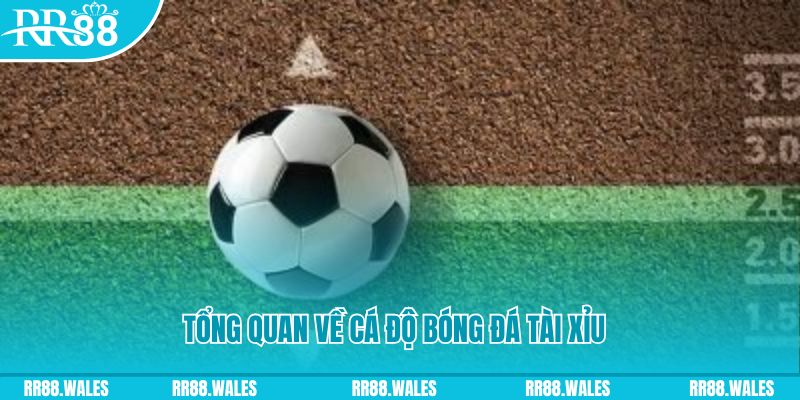 xs da nang JDB Điện Tử