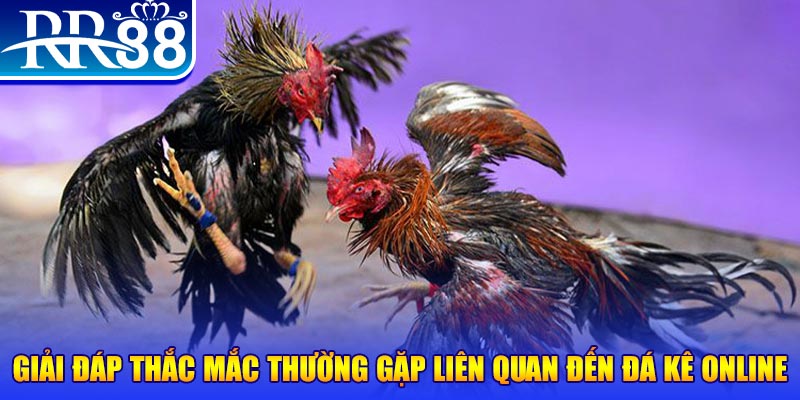 xs da nang đăng nhập phỏm tặng tiền
