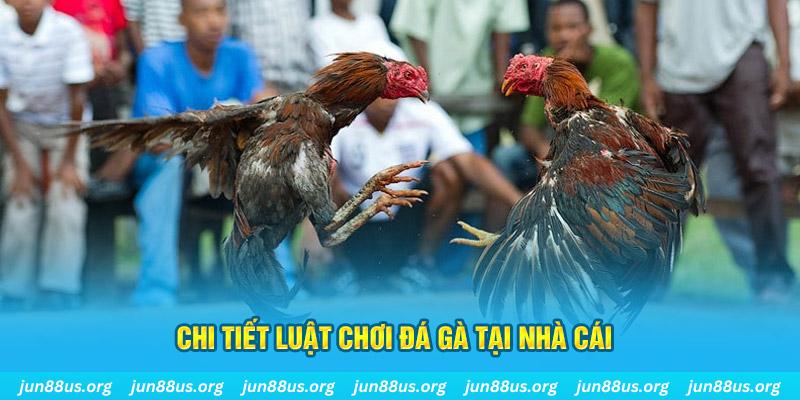 xs da nang đá gà campuchia