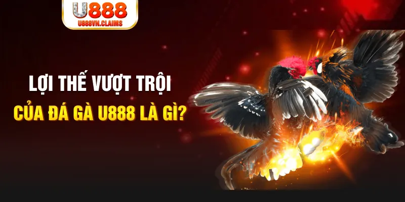 xs da nang 888 slot là gì